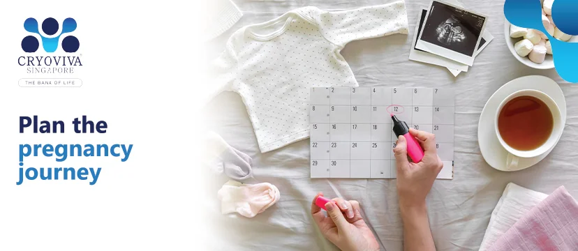 plan-the-pregnancy-journey